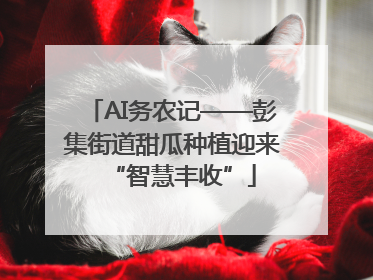 AI务农记——彭集街道甜瓜种植迎来“智慧丰收”