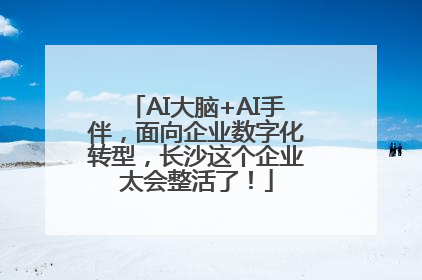 AI大脑+AI手伴，面向企业数字化转型，长沙这个企业太会整活了！