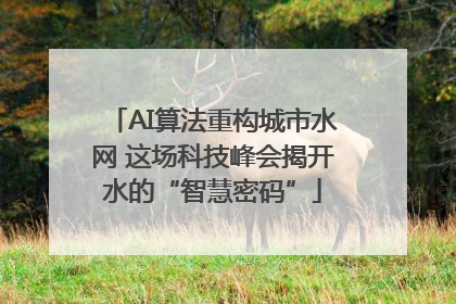AI算法重构城市水网 这场科技峰会揭开水的“智慧密码”
