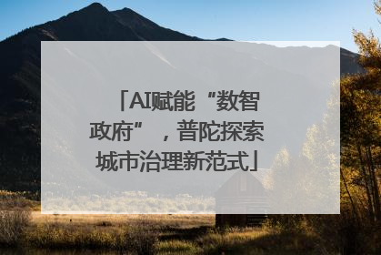 AI赋能“数智政府”，普陀探索城市治理新范式