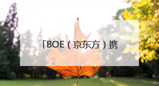 BOE（京东方）携钙钛矿、新能源产品及解决方案亮相2025 SNEC 科技创新赋能行业绿色发展