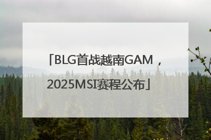 BLG首战越南GAM，2025MSI赛程公布