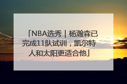 NBA选秀｜杨瀚森已完成11队试训，凯尔特人和太阳更适合他